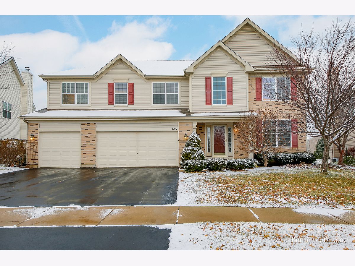 Townhomes & Homes Rented Southbury Oswego Illinois, 607 Mansfield