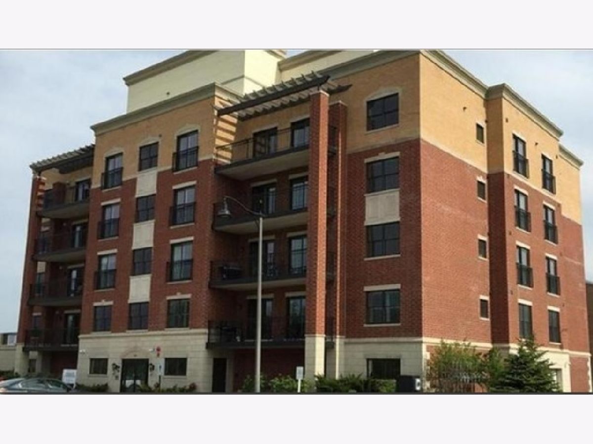 Condominiums Rented Clocktower Pointe Countryside Illinois, 10765 Clocktower