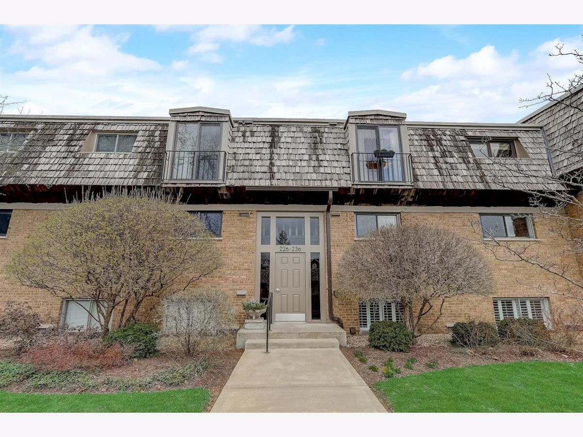 Condos & Townhomes Sold Kenston Geneva Illinois, 228 Kenston