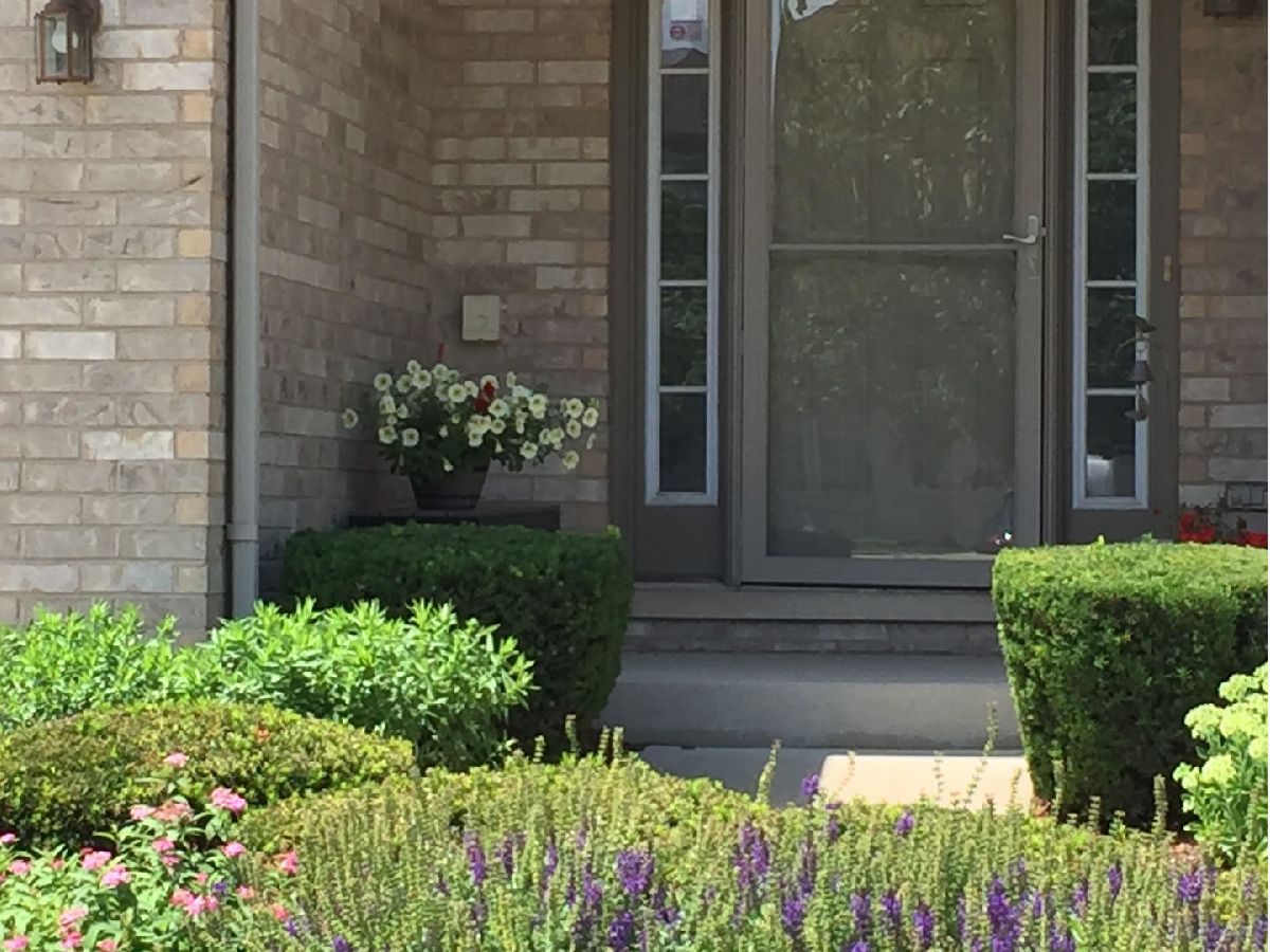 Townhomes Sold Chestnut Ridge Tinley Park Illinois, 18132 Bramlett