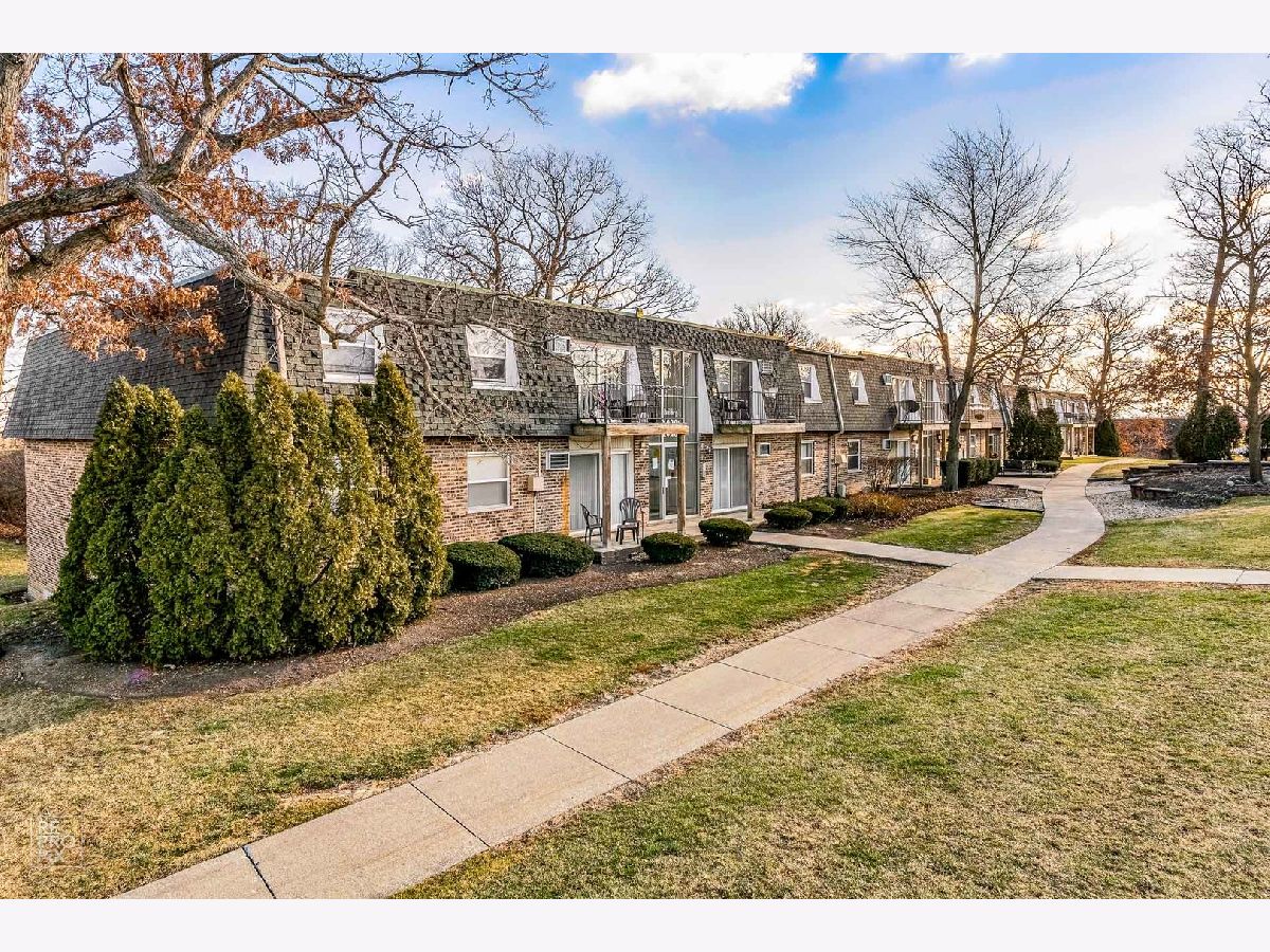 Condominiums Rented Scenic Tree Palos Hills Illinois, 8577 101st