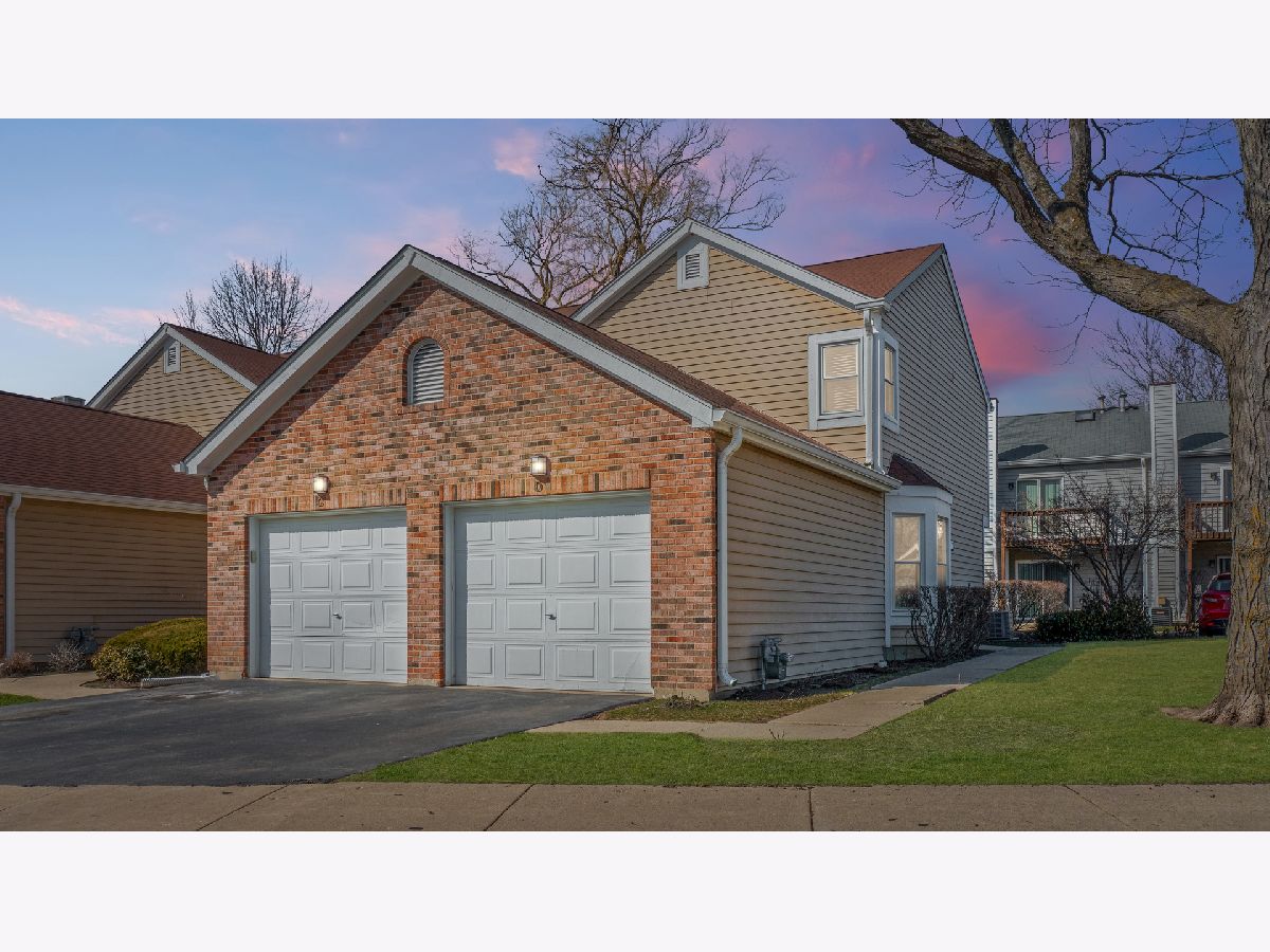 Townhomes Rented Cinnabar Pointe Bartlett Illinois, 485 Nicole