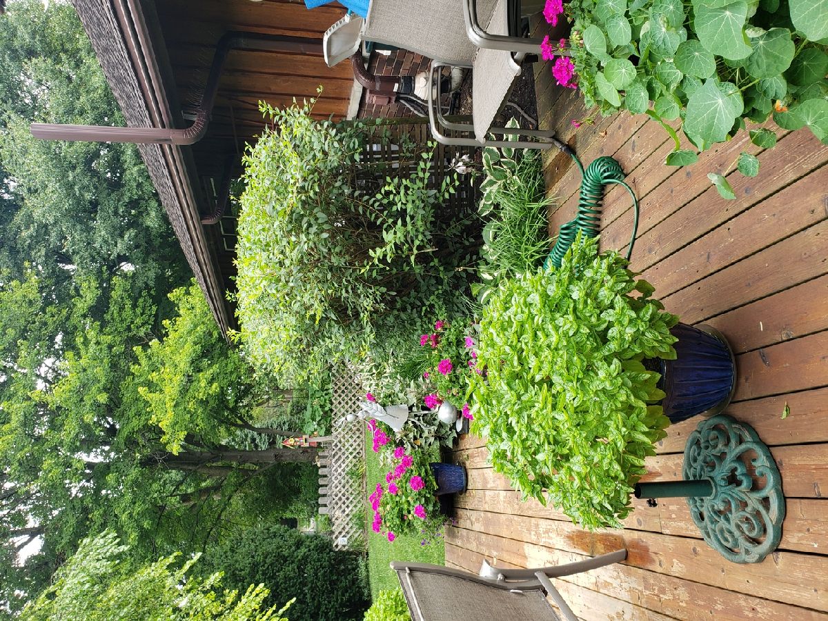 Homes Sold Lexington Fields South Schaumburg Illinois, 1508 Rutland