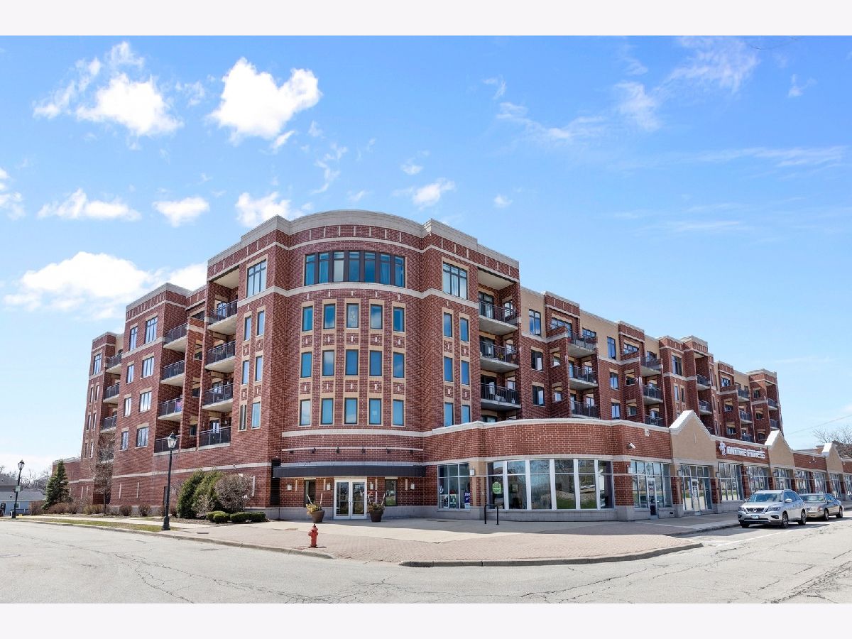 Condominiums Sold Park Street Crossing Roselle Illinois, 225 Main