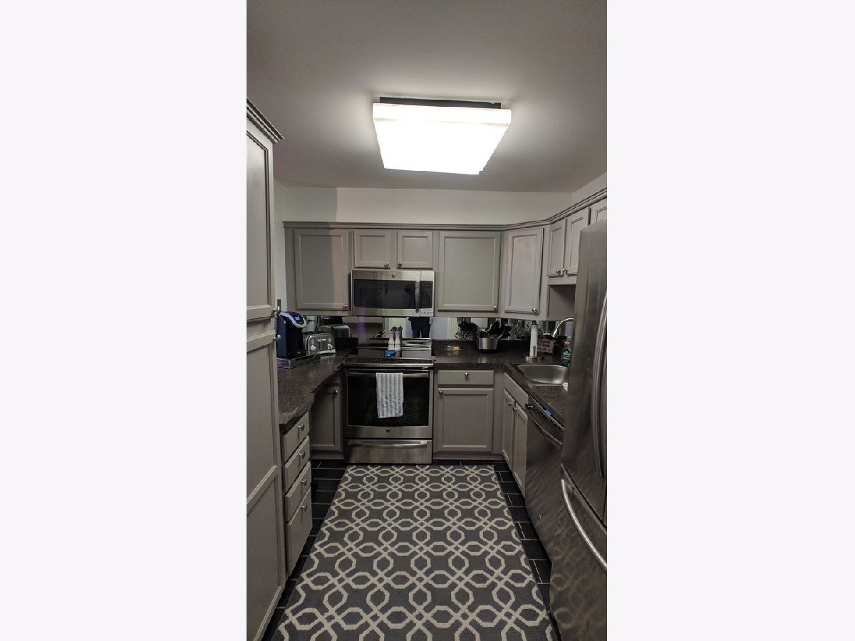 Condominiums Rented James House Chicago Illinois, 1560 Sandburg