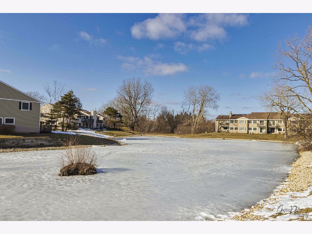 923 Hidden Lake Drive, Buffalo Grove, Illinois 60089 MLS 11044867