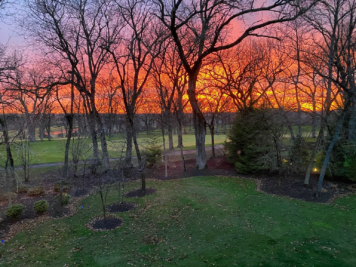 Homes Sold Woods Of Ivanhoe Mundelein Illinois, 28688 Spyglass