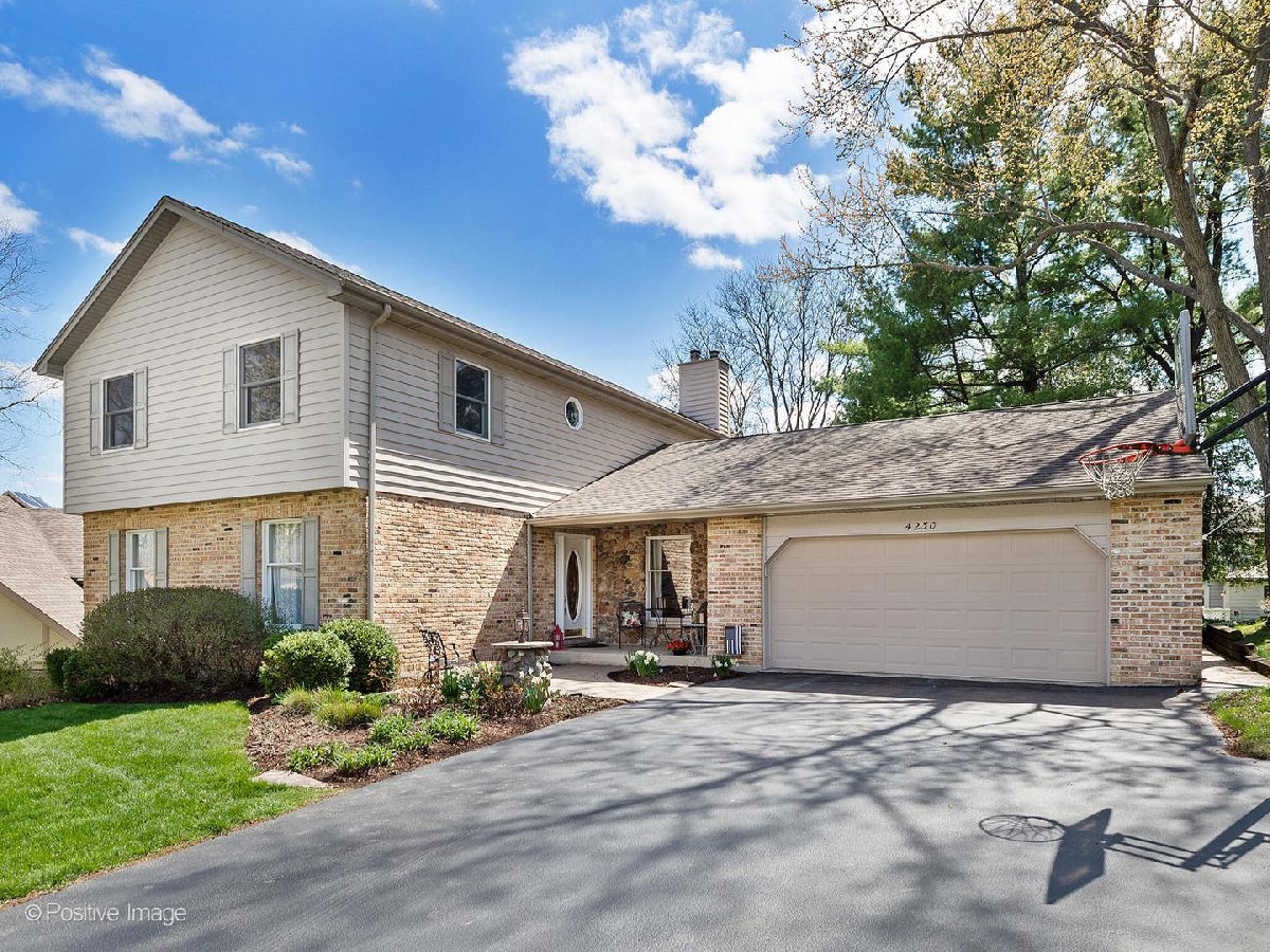 Homes Sold Arboretum Woods Lisle Illinois, 4230 White Birch