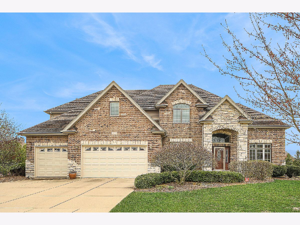 Homes Sold Vistana Frankfort Illinois, 11119 Venezia