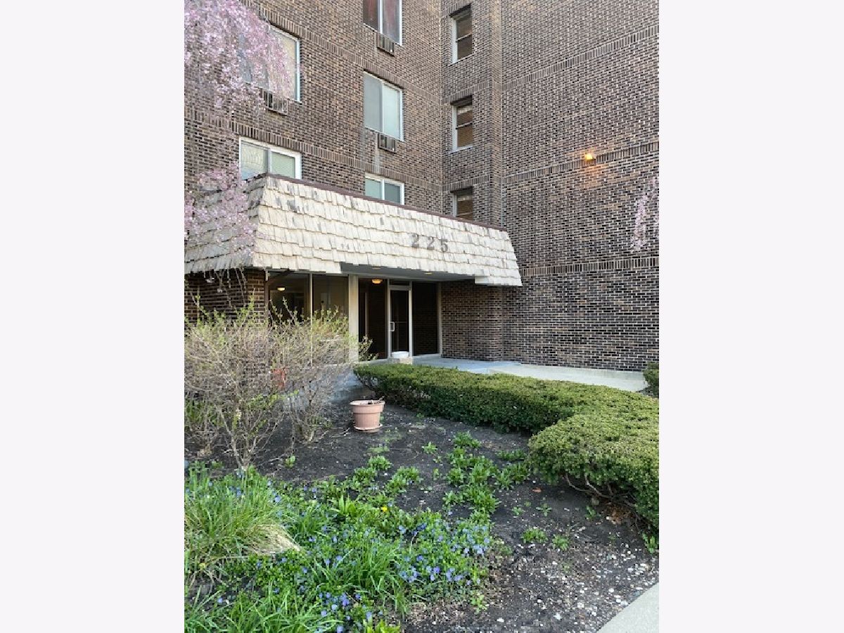 Condominiums Rented Willow Creek Palatine Illinois, 225 Rohlwing