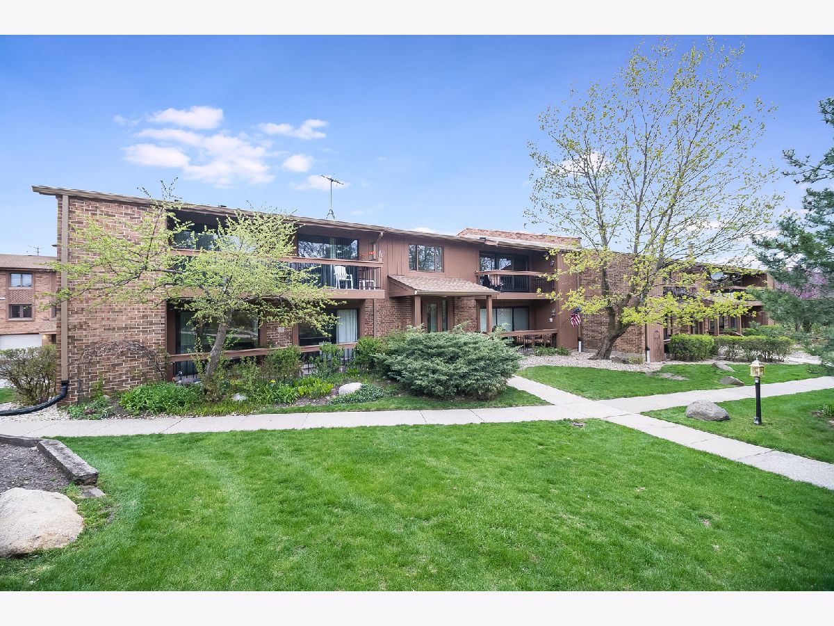 7982 Garfield Avenue, Burr Ridge, Illinois 60527 MLS 11056092