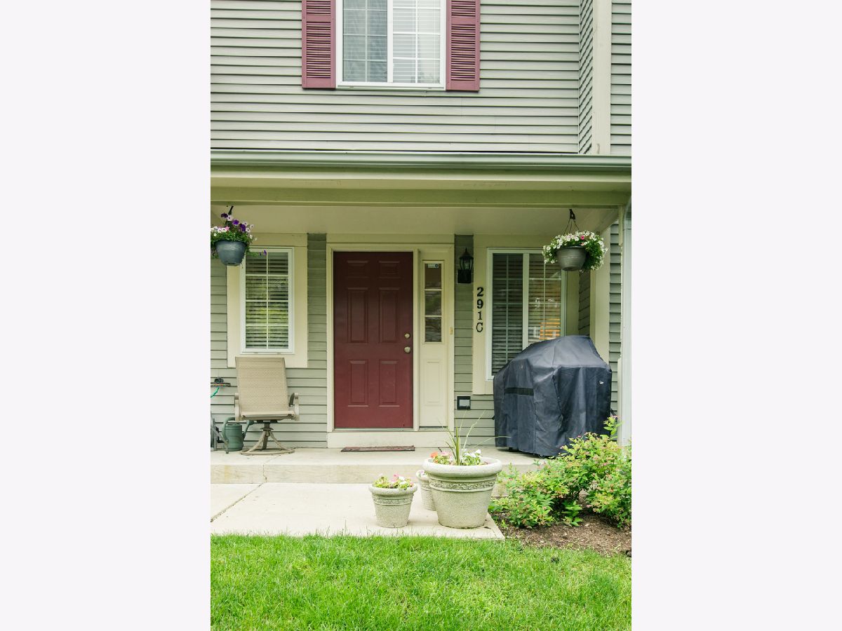 Townhomes & Condos Rented Concord Woods South Elgin Illinois, 291 Windsor