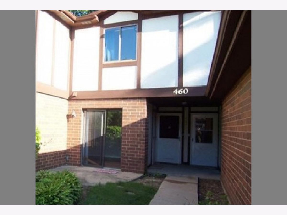 Townhomes & Condos & Homes Sold Brandywine Crystal Lake Illinois, 460 Brandy