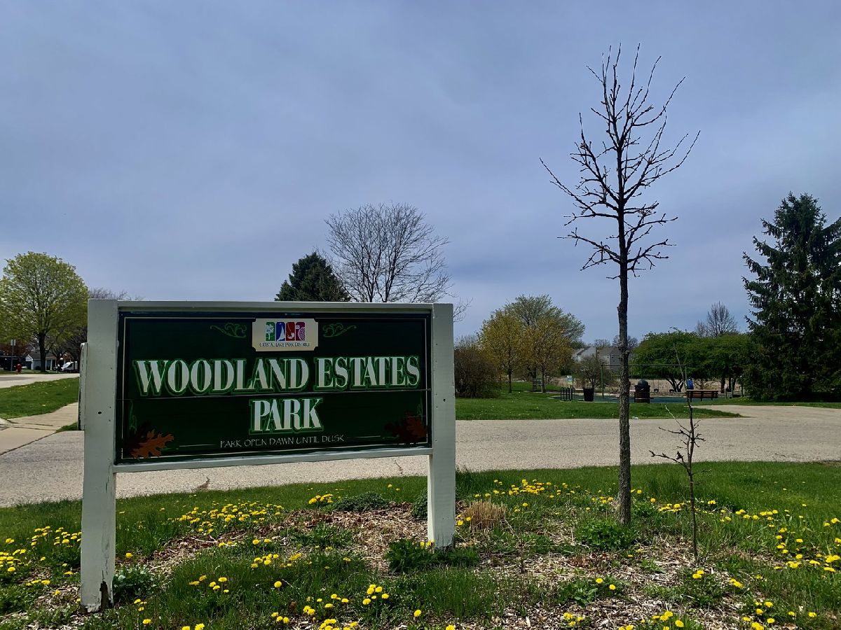 Homes Sold Braeburn Crystal Lake Illinois, 543 Larium
