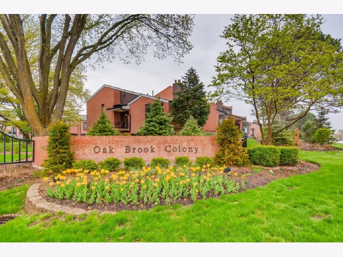 Oak Brook Colony Oak Brook IL, Townhomes For Sale & For Rent Sadie Winter Dana Cohen
