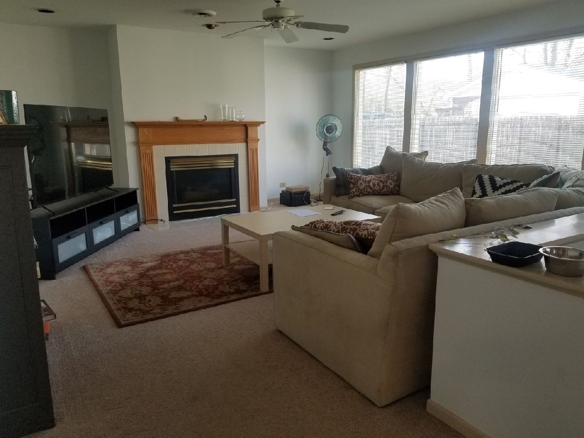 Homes Rented Loch Lomond Mundelein Illinois, 736 Dublin