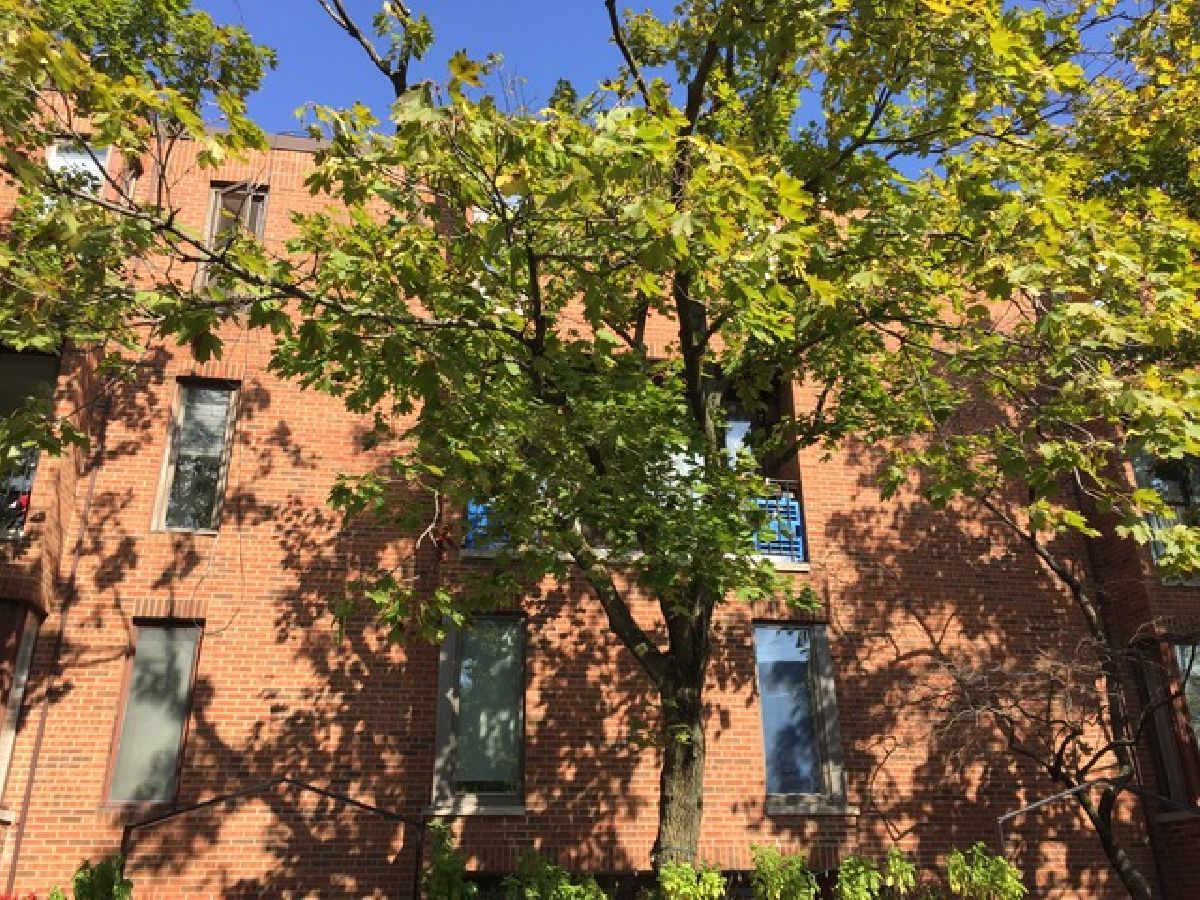 Townhomes & Condos Rented The Portals Chicago Illinois, 441 Grant