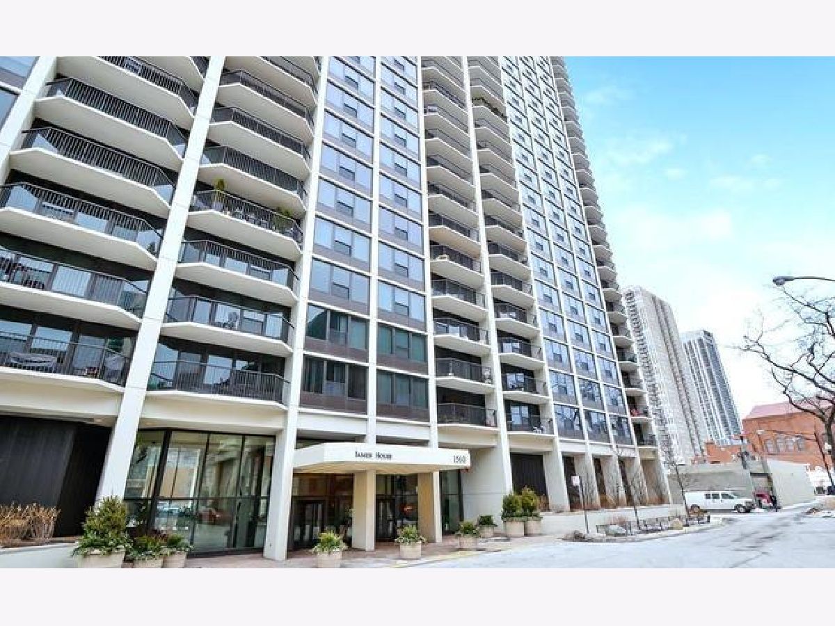 Condominiums Rented James House Chicago Illinois, 1560 Sandburg