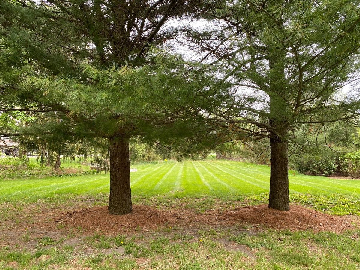 Homes Sold Foxfield St Charles Illinois, 42W570 Hawk