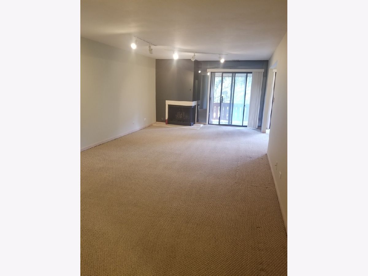  Rented Oakbrook Terrace Illinois, 1S085 Spring