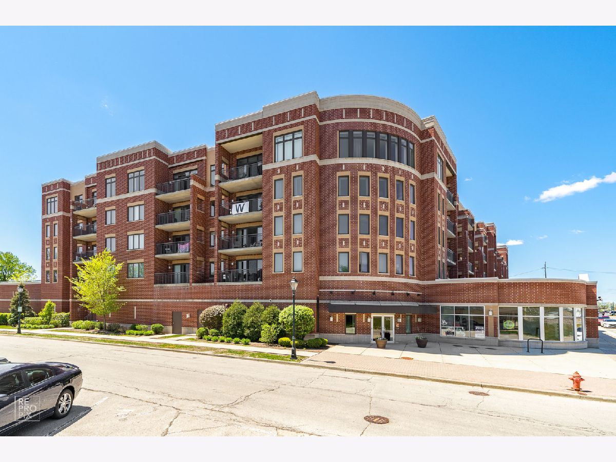 Condominiums Sold Park Street Crossing Roselle Illinois, 225 Main