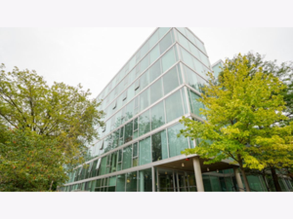 Condominiums Rented Michigan Place Chicago Illinois, 3115 Michigan