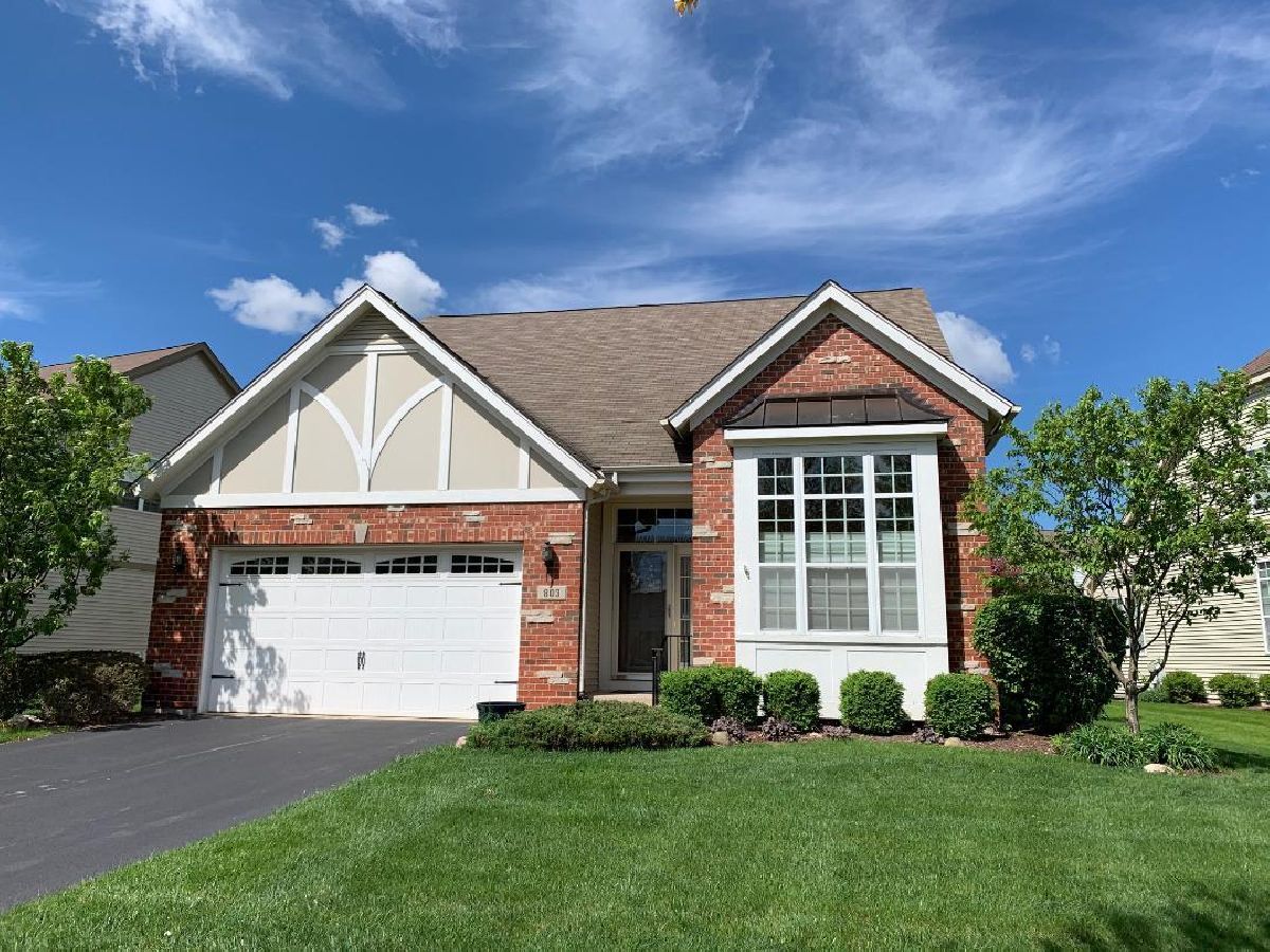 Homes Sold The Villas At Southbury Village Oswego Illinois, 803 Colchester