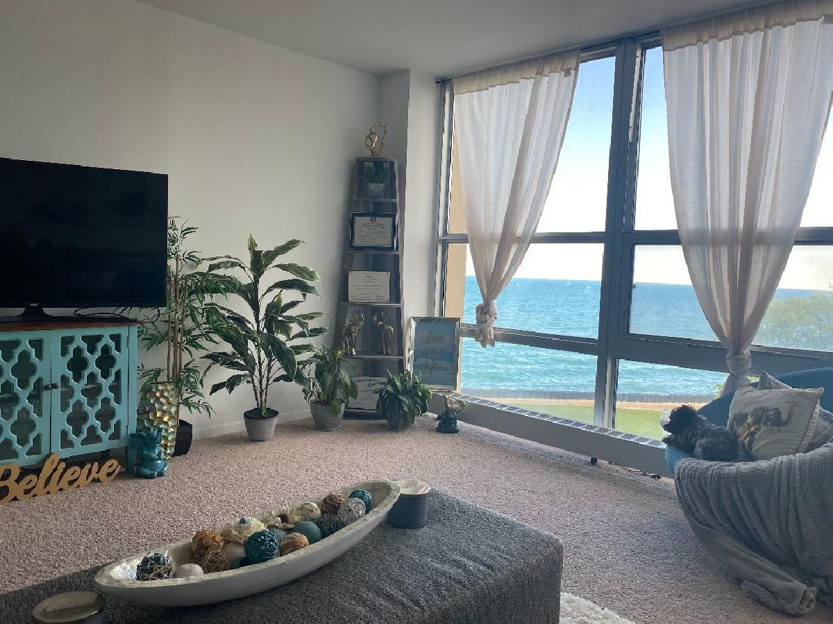 Condominiums Sold Lakefront Place Chicago Illinois, 6730 South Shore