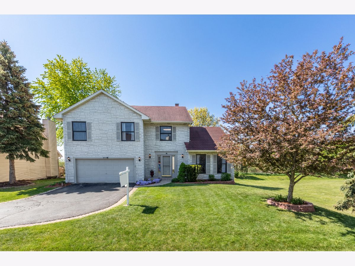 Homes Sold Brampton Place Bartlett Illinois, 217 Windsor