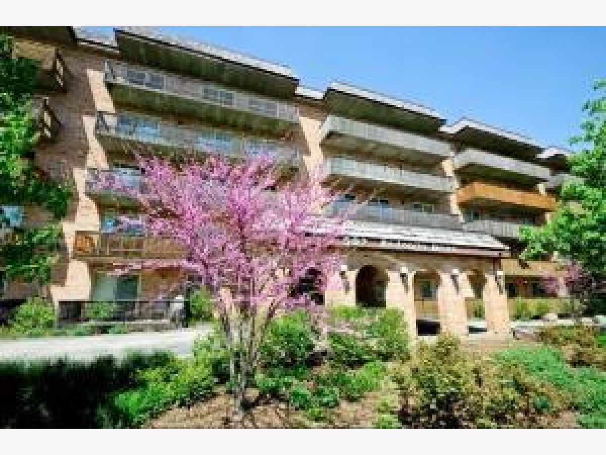 Lake In The Woods Downers Grove IL, Condominiums & Homes For Sale & For