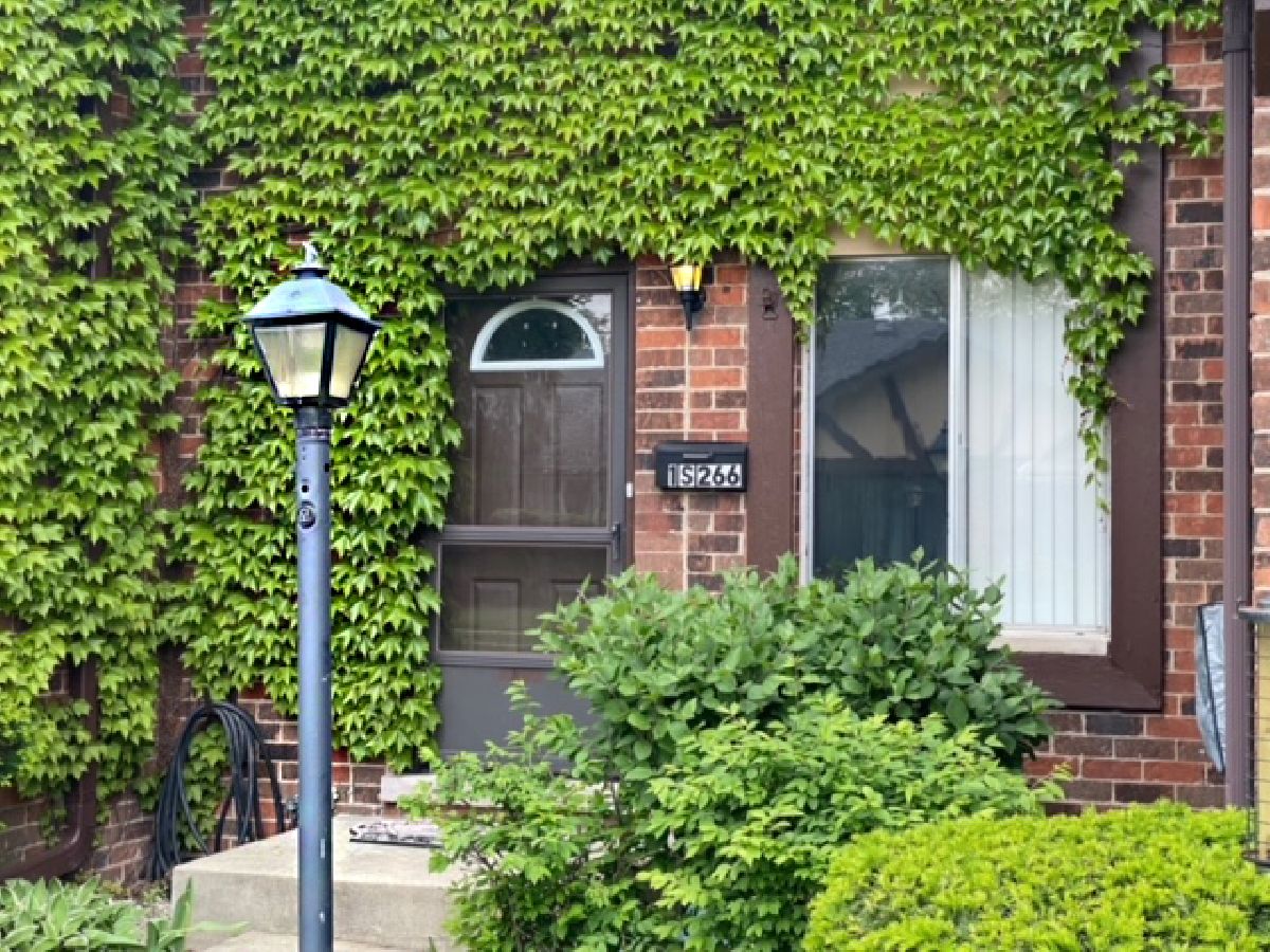 Townhomes & Condos Rented Brandywine Villa Park Illinois, 1S266 Dillon