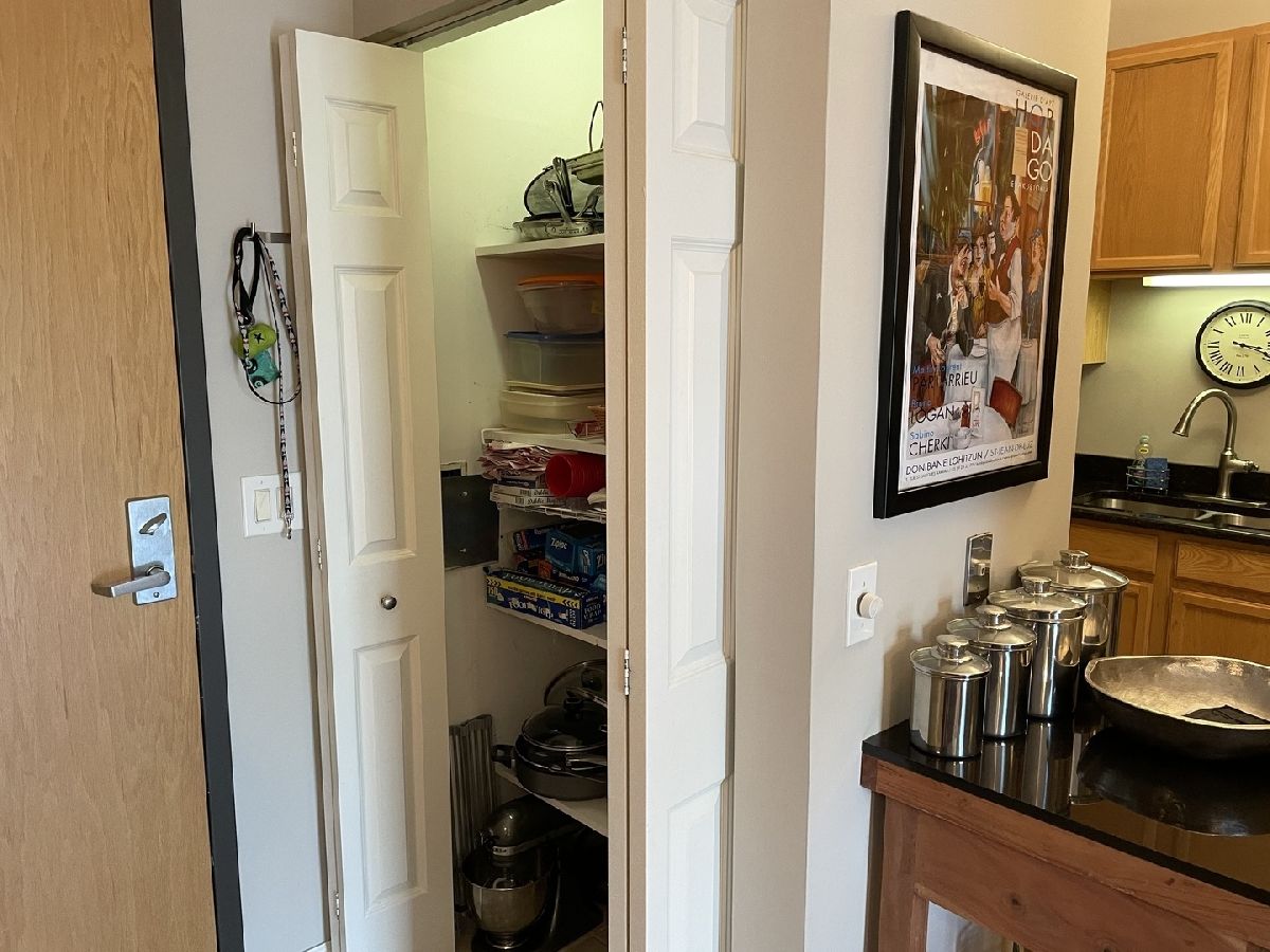 Condos & Townhomes Sold Grace Park Condominiums Schiller Park Illinois, 9355 Irving Park