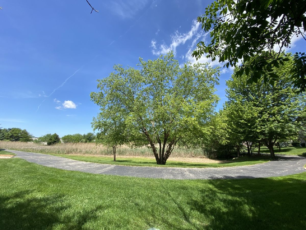 Condominiums Sold Ashley Point Lockport Illinois, 1053 Ashley