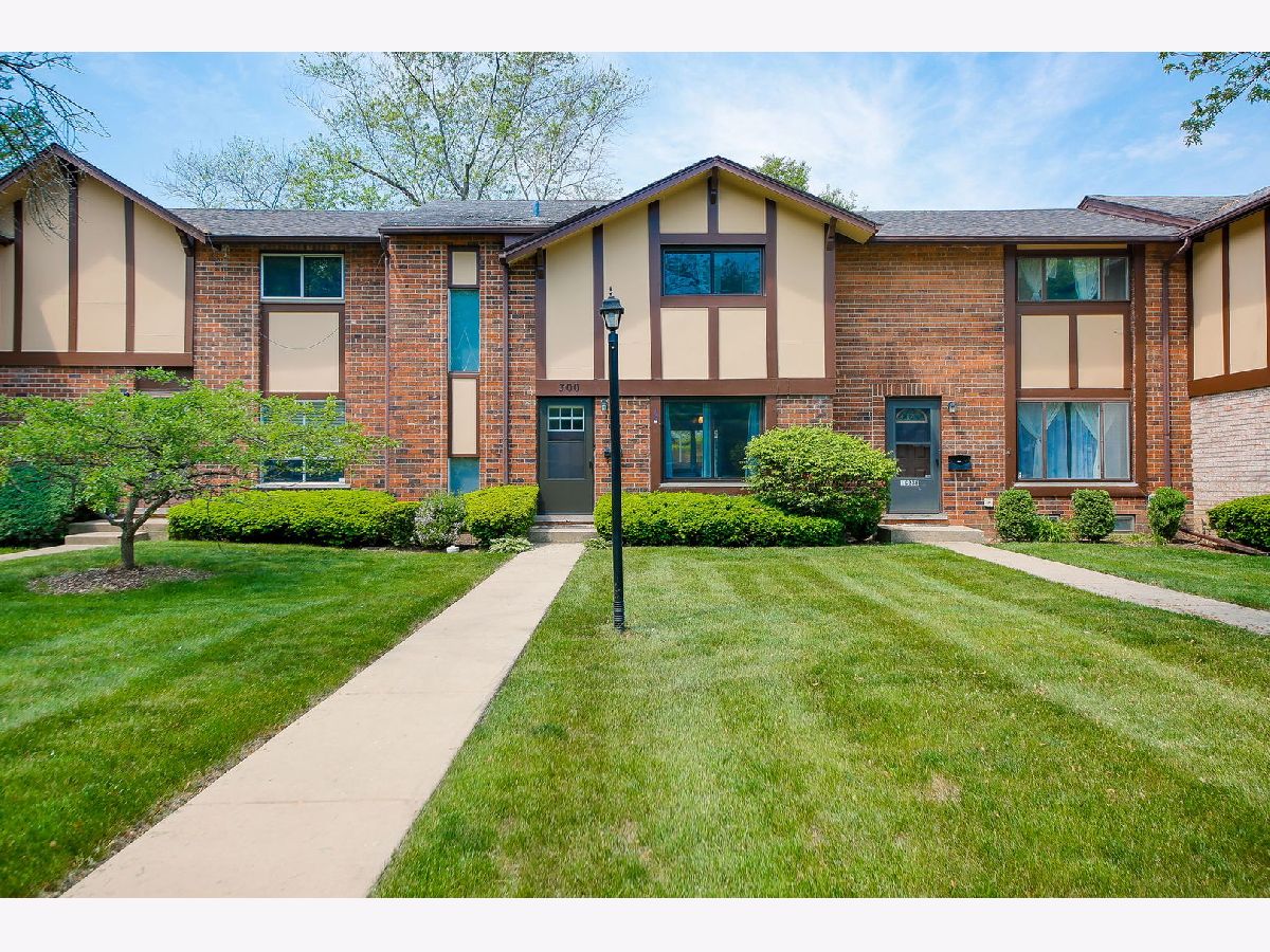 Brandywine Villa Park IL, Townhomes & Condos For Sale & For Rent