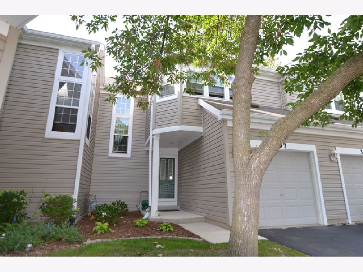 Townhomes & Condos Rented Steeplechase Carol Stream Illinois, 397 Kerry