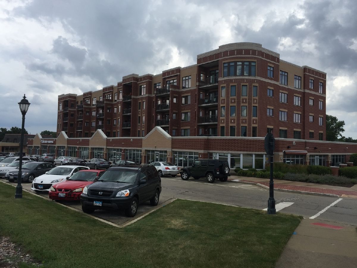 Condominiums Rented Park Street Crossing Roselle Illinois, 225 Main