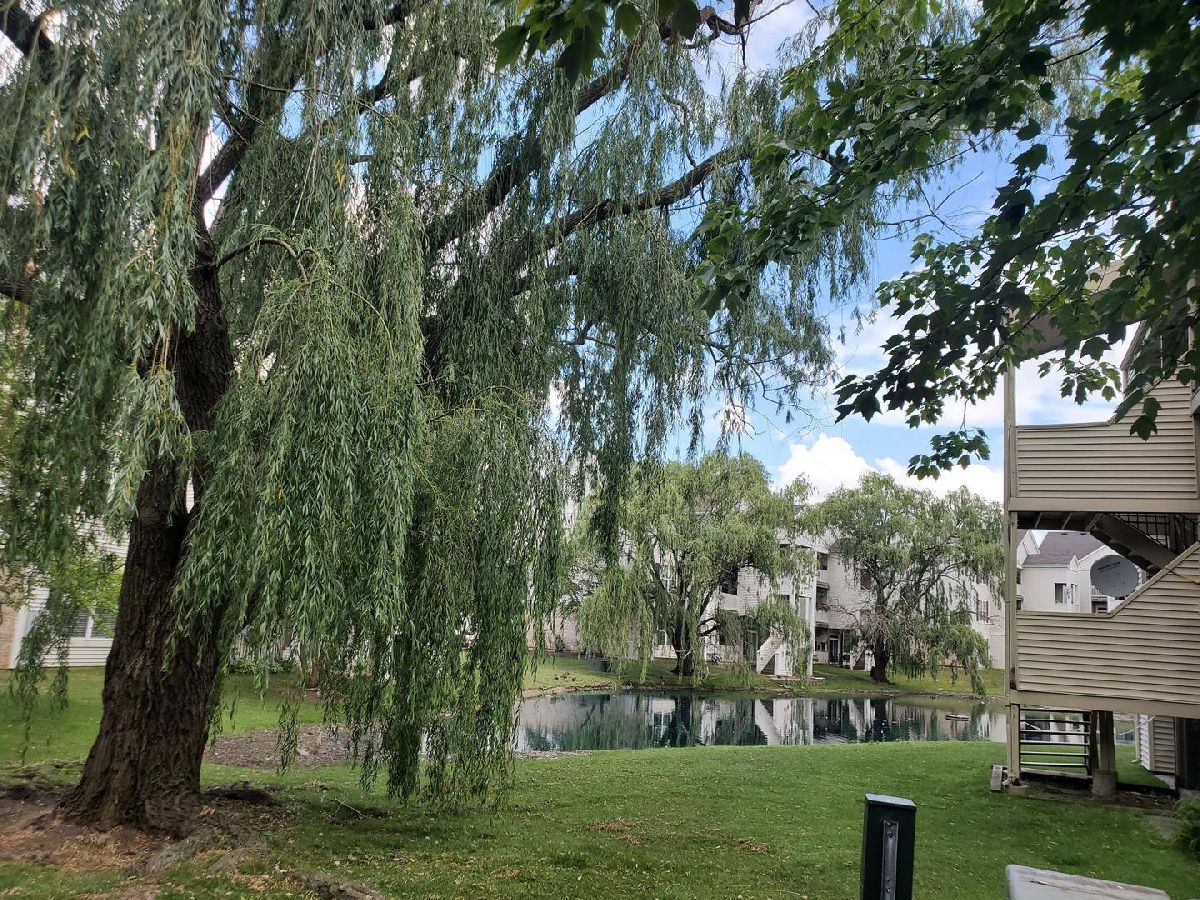 Condominiums Sold Fountains Of Glendale Glendale Heights Illinois, 154 Waters Edge