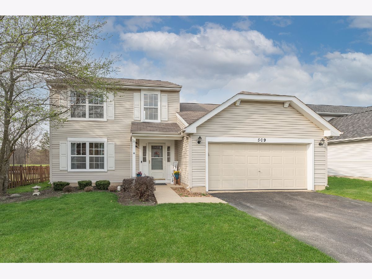 Homes Sold Natures Edge Aurora Illinois, 509 Ryegrass