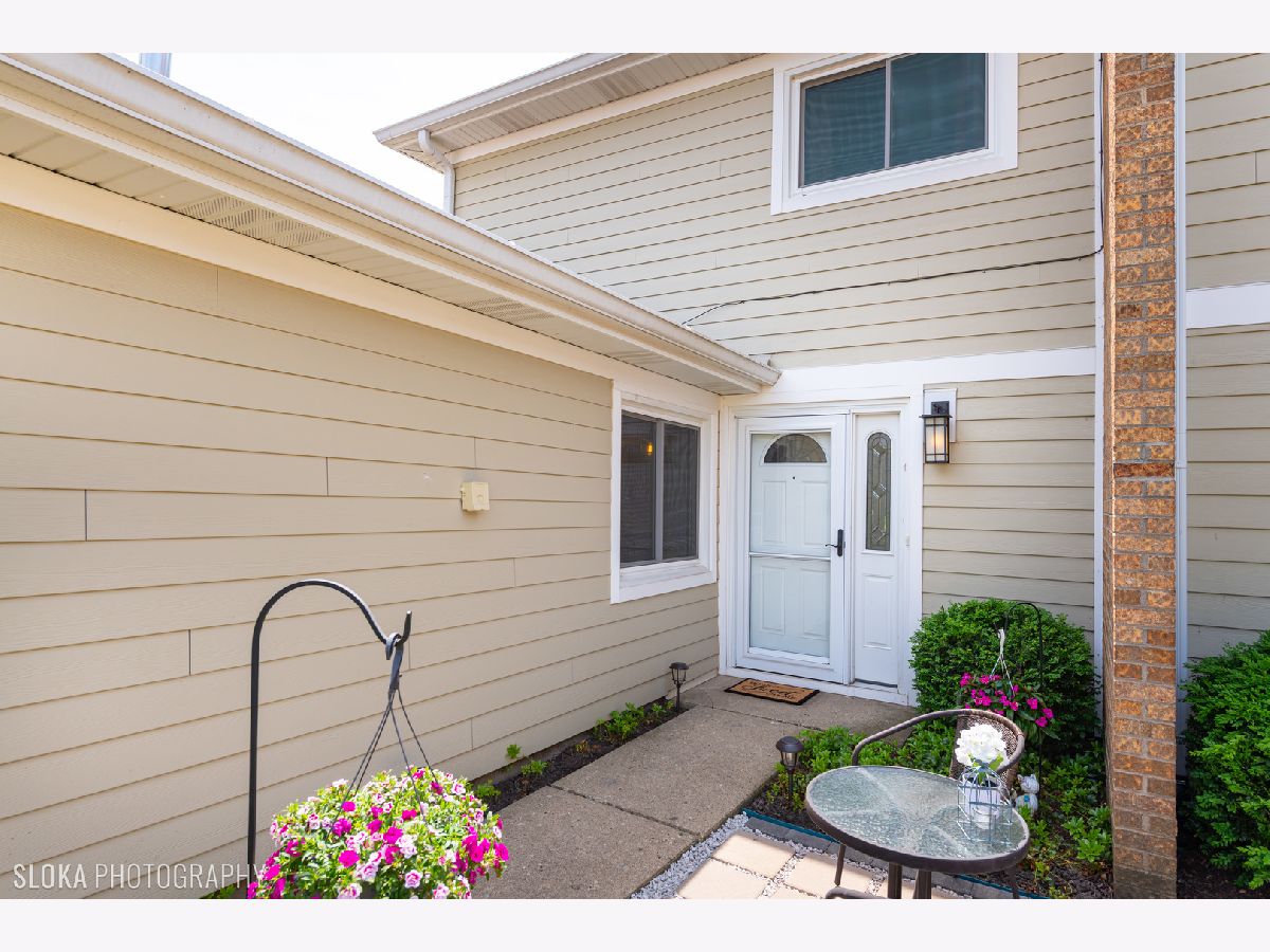 Townhomes Sold Amber Ridge Palatine Illinois, 1157 Chesapeake