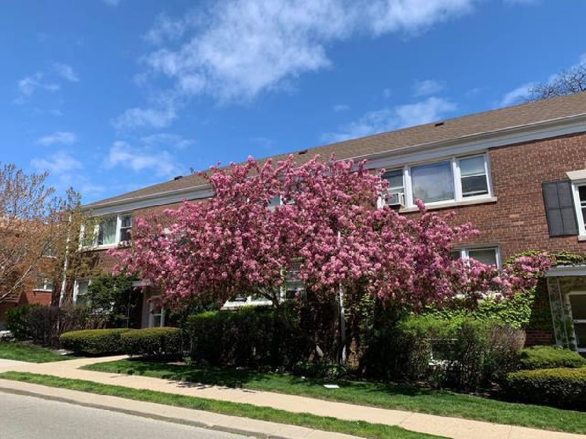 Condominiums Rented Austin Elmwood Courtyard Evanston Illinois, 907 Austin