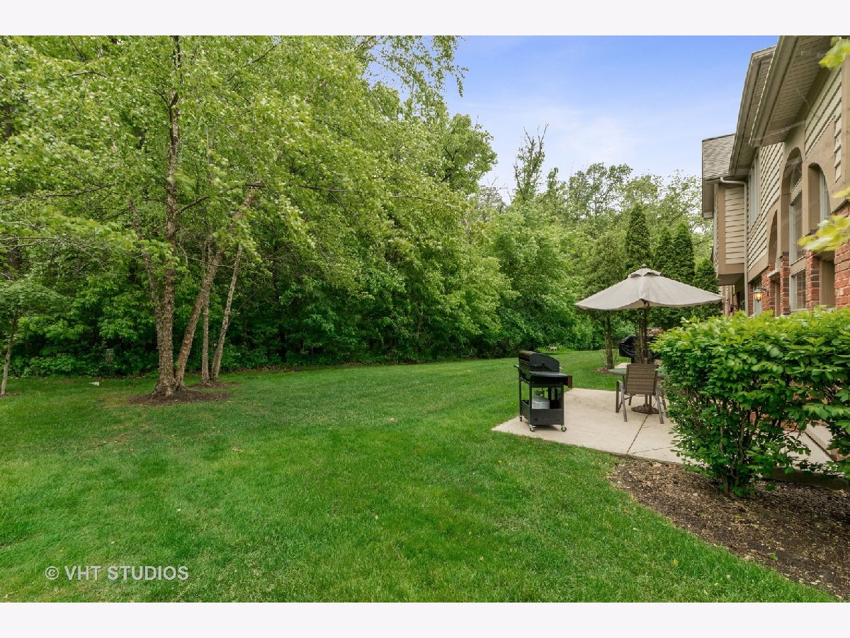 Homes & Townhomes Sold Thunder Ridge New Lenox Illinois, 3232 Lightning