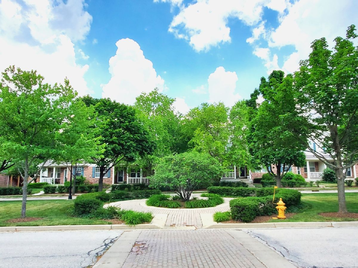 Townhomes Sold Aragon Addison Illinois, 645 Natalie