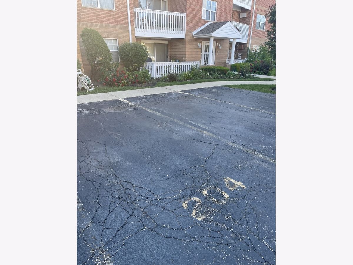 Condominiums Sold Arbor Lane Condos Chicago Illinois, 6560 Belmont