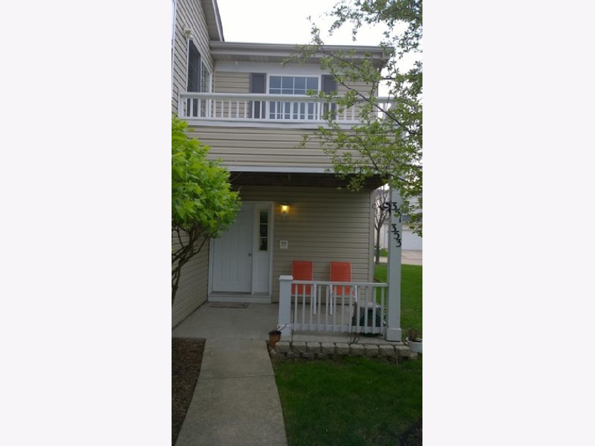 Homes & Townhomes & Condos Rented Ogden Falls Oswego Illinois, 353 Ogden Falls