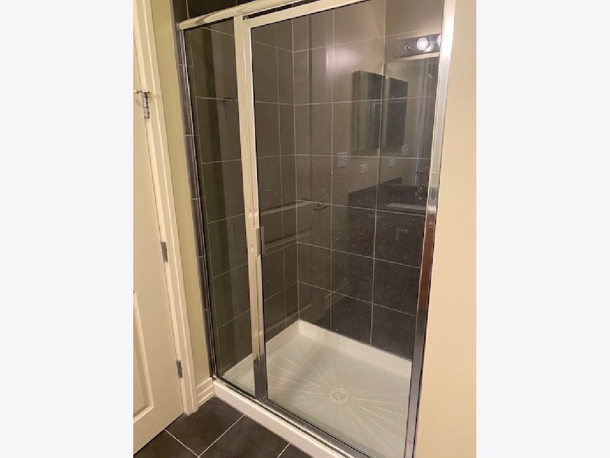 Condominiums Rented Printers Corner Chicago Illinois, 170 Polk