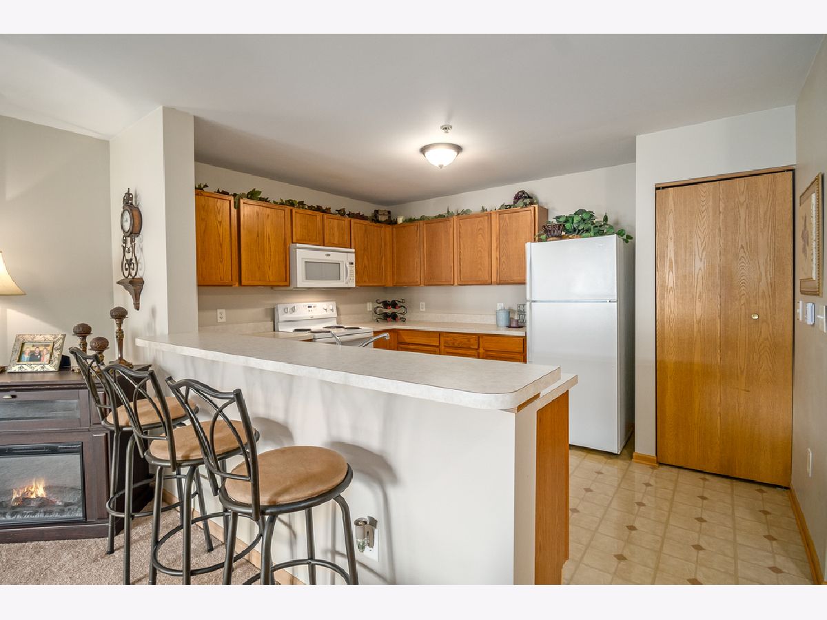 232 Bertram Drive, Yorkville, Illinois 60560 MLS 11129669 WinterCohen