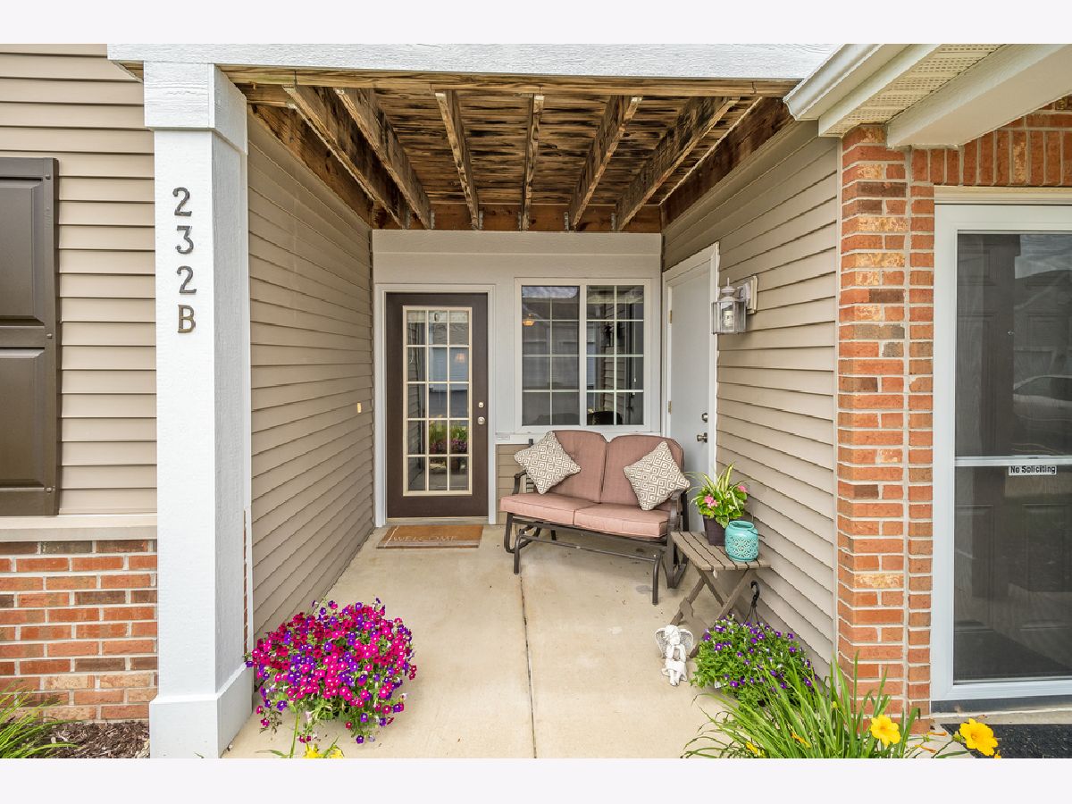 232 Bertram Drive, Yorkville, Illinois 60560 MLS 11129669 WinterCohen