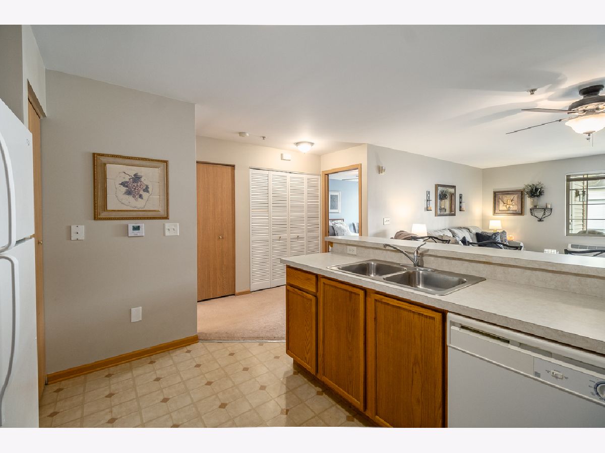 232 Bertram Drive, Yorkville, Illinois 60560 MLS 11129669 WinterCohen