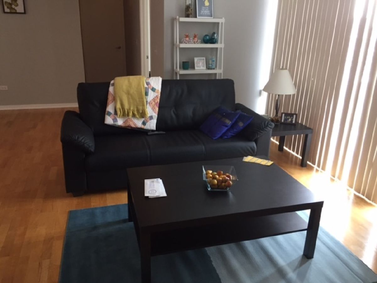 Condominiums Rented Parc Orleans Chicago Illinois, 1546 Orleans