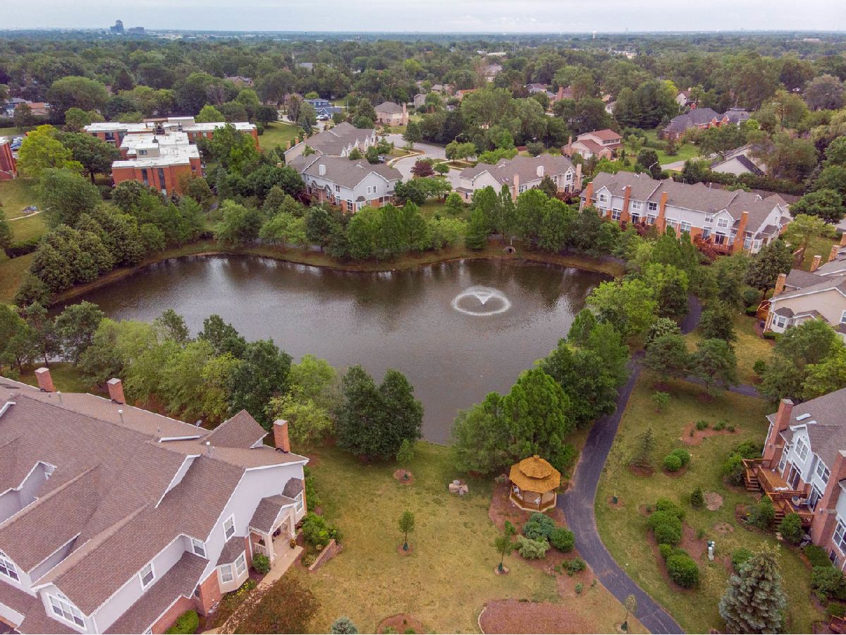 Townhomes Sold Cloisters Schaumburg Illinois, 322 Lucille